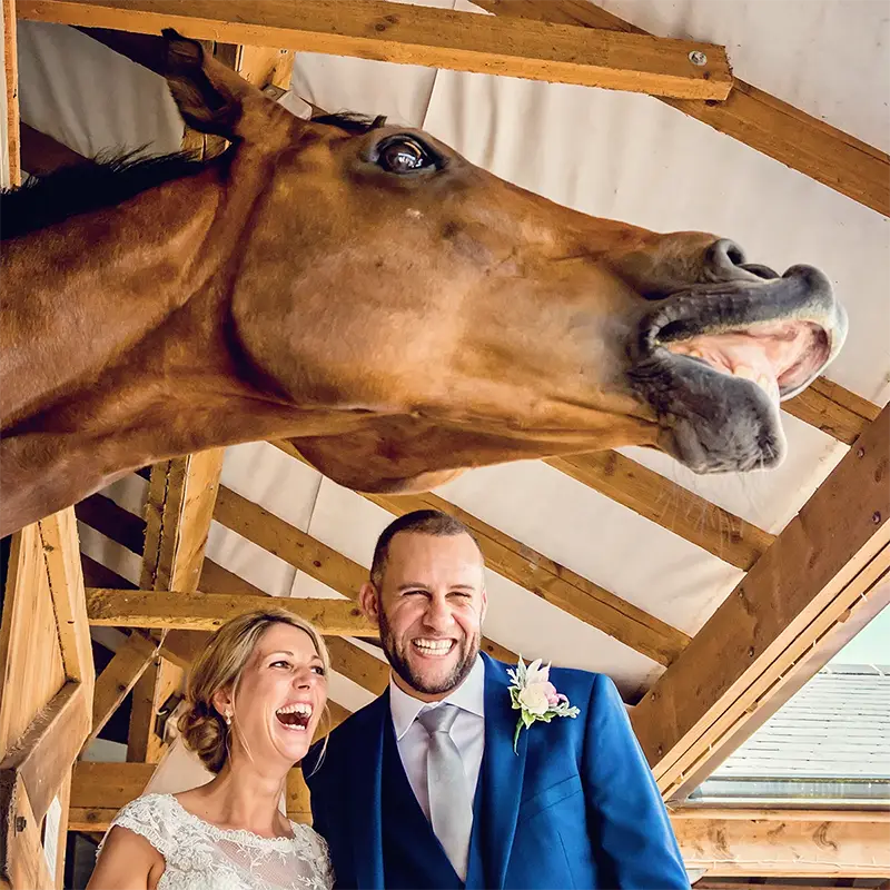A curious horse photobombing bride and groom